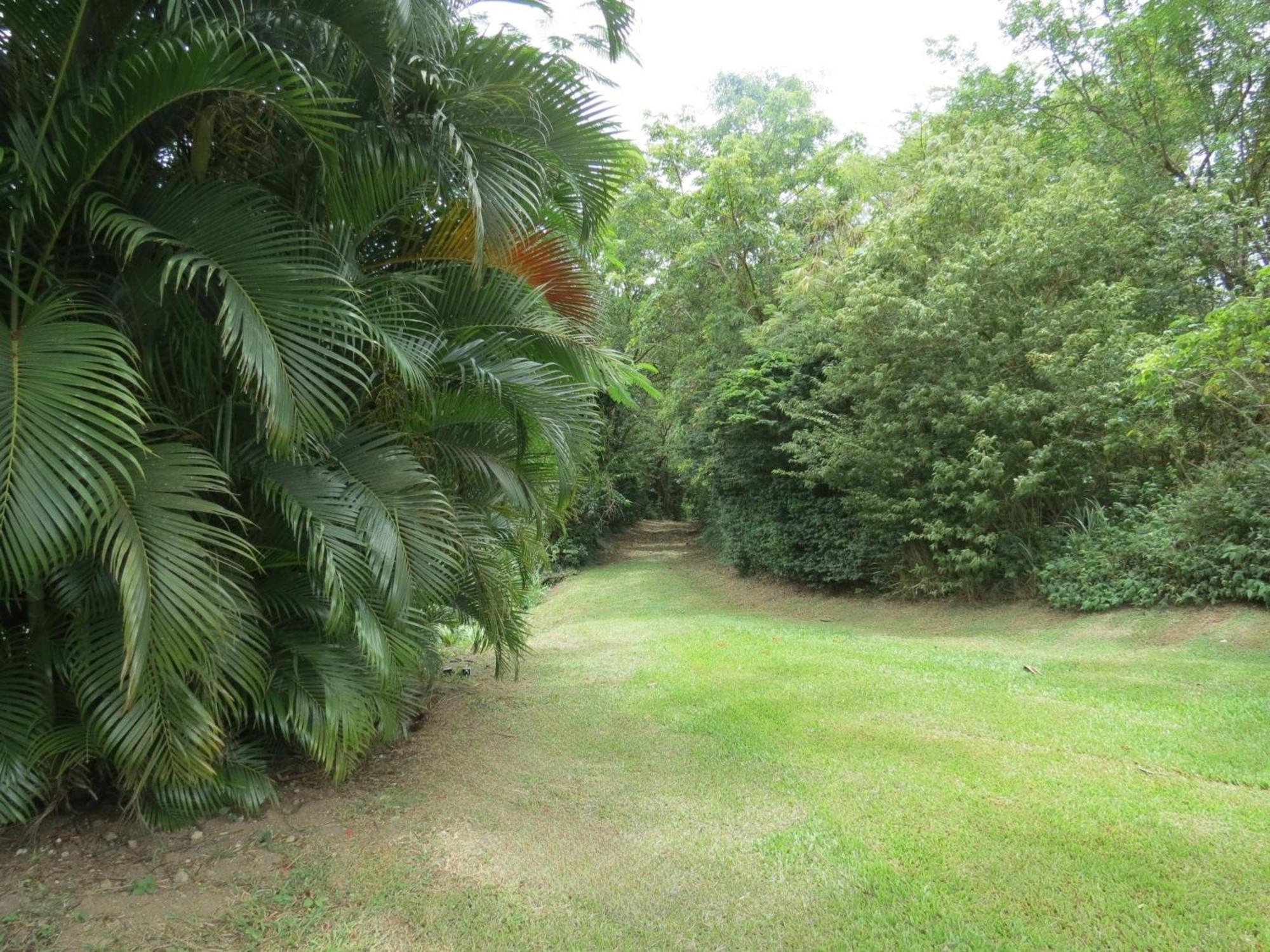 Domaine De L'Anse Ramier Aparthotel Les Trois-Ilets Bagian luar foto