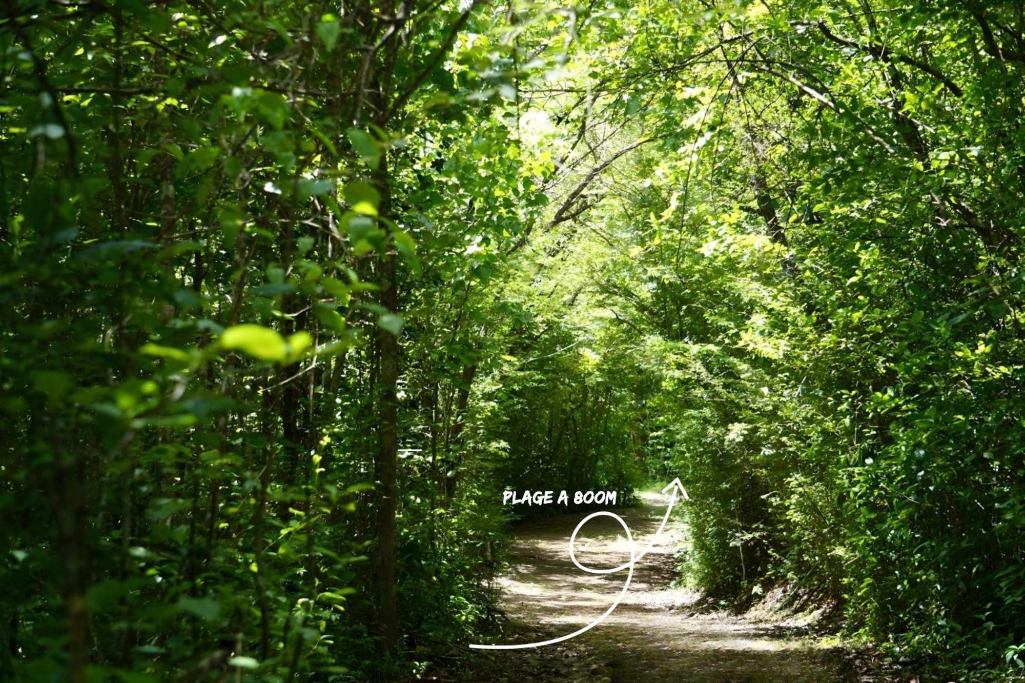 Domaine De L'Anse Ramier Aparthotel Les Trois-Ilets Bagian luar foto