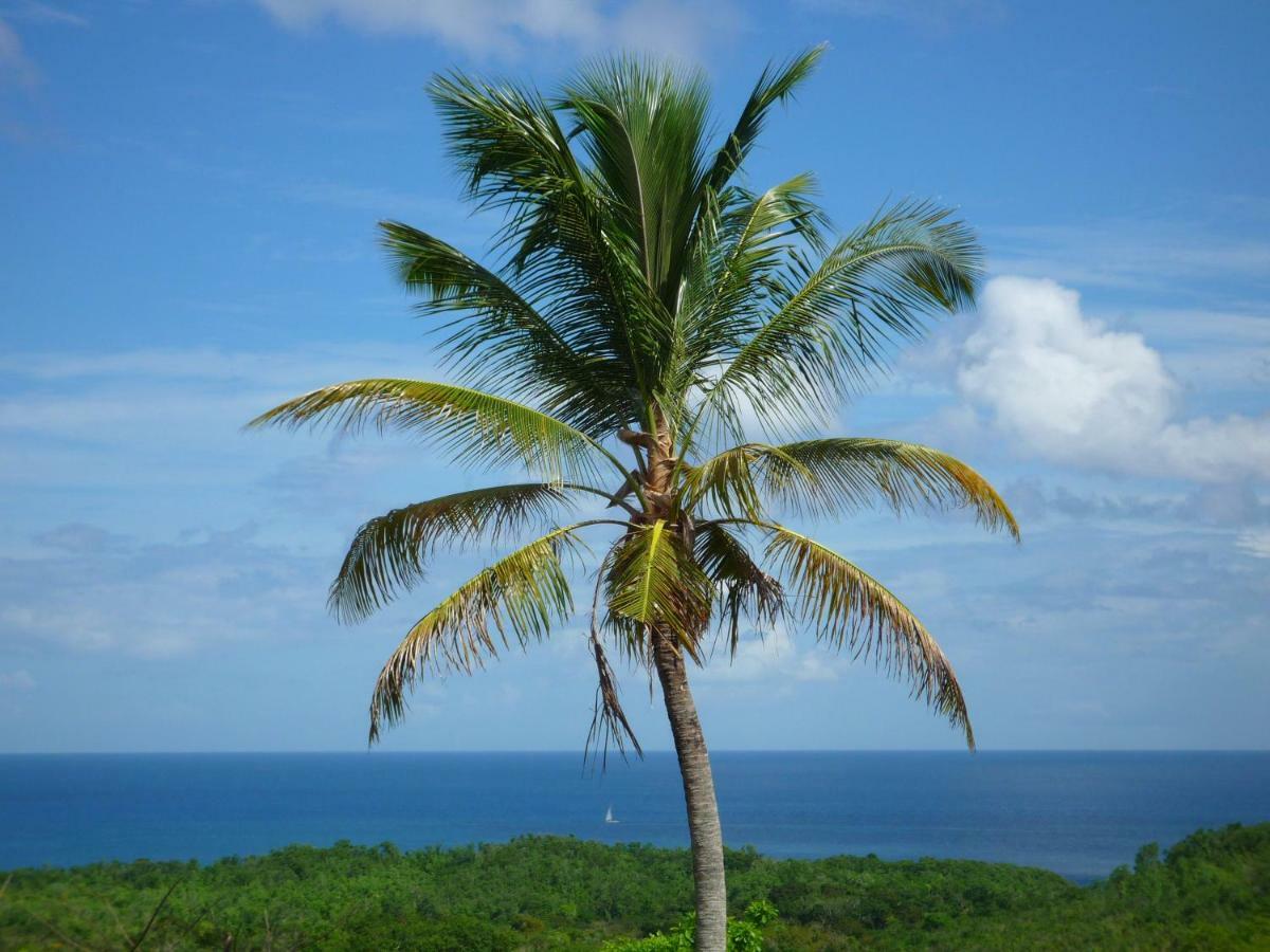 Domaine De L'Anse Ramier Aparthotel Les Trois-Ilets Bagian luar foto